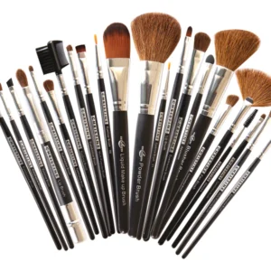 Professional Brushes Set